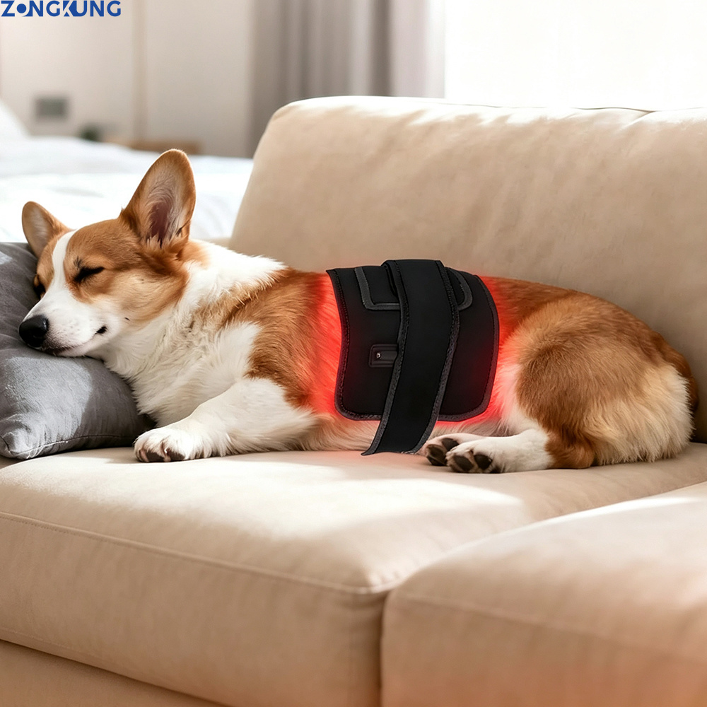การบำบัดด้วยแสงสีแดงสำหรับสัตว - Galvanic Skin Sensor บทวิจารณ์และราคา